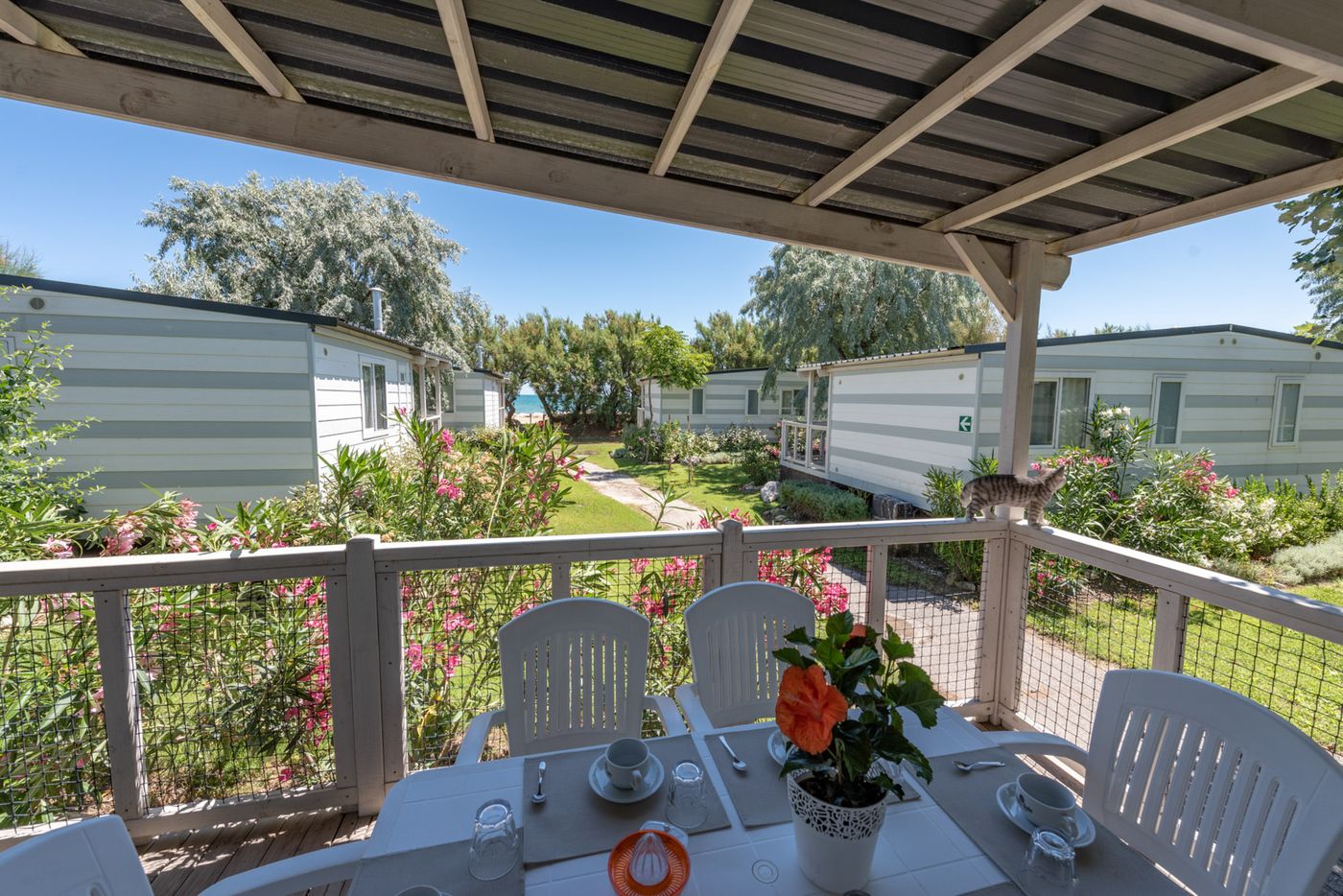 Club-del-Sole-Stork-Family-Collection-Room-66