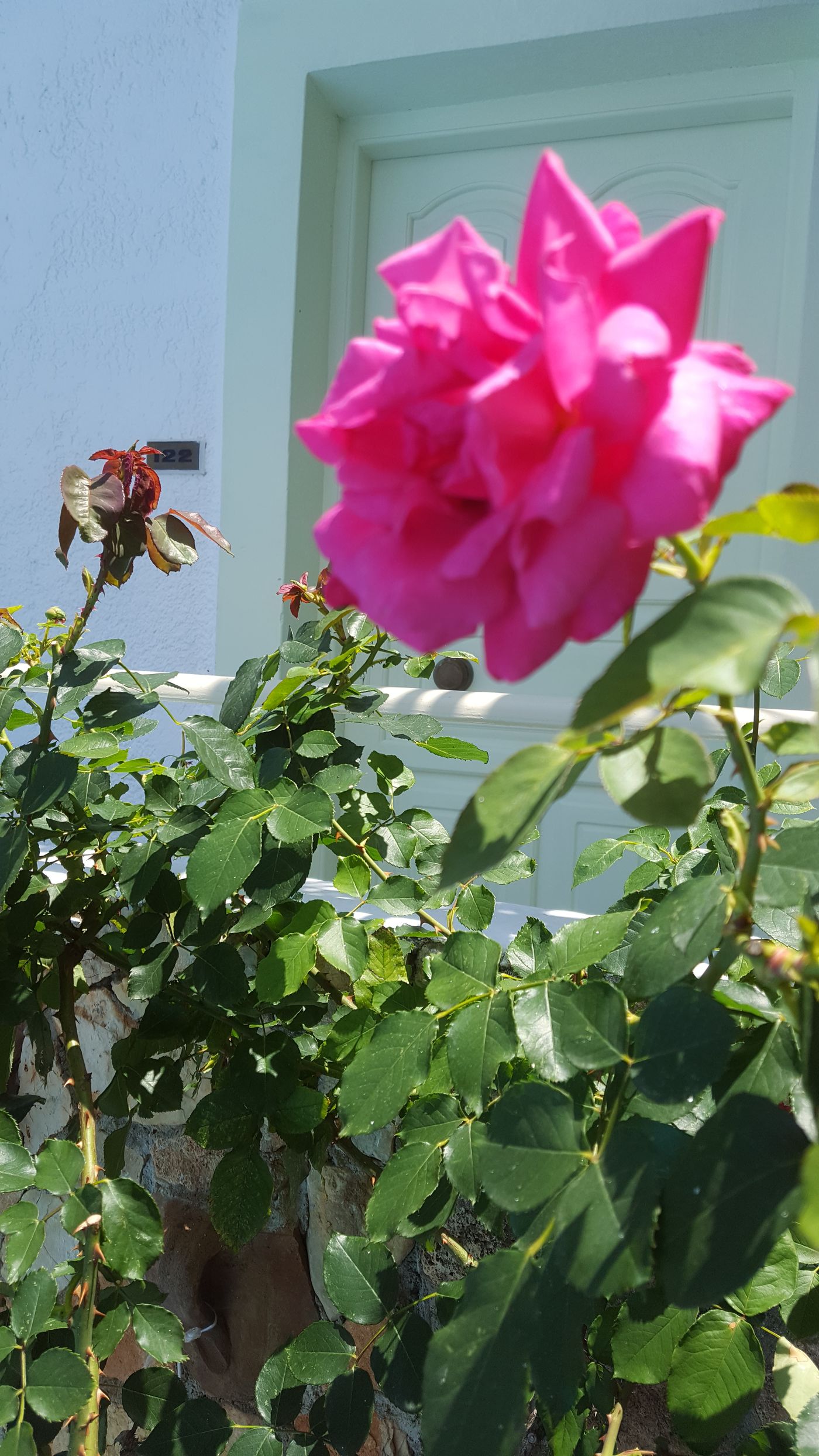 Semiramis-Apartments-General-view-12