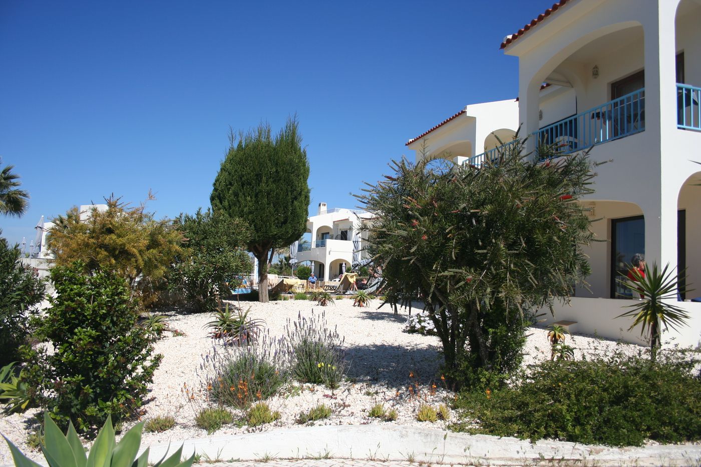 Monte-Dourado-General-view-9