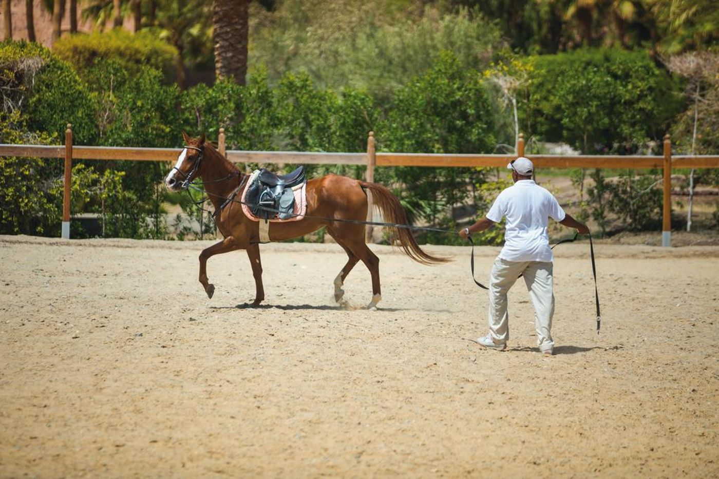 M----venpick-Resort-el-Quseir-Sports-and-Entertainment-49