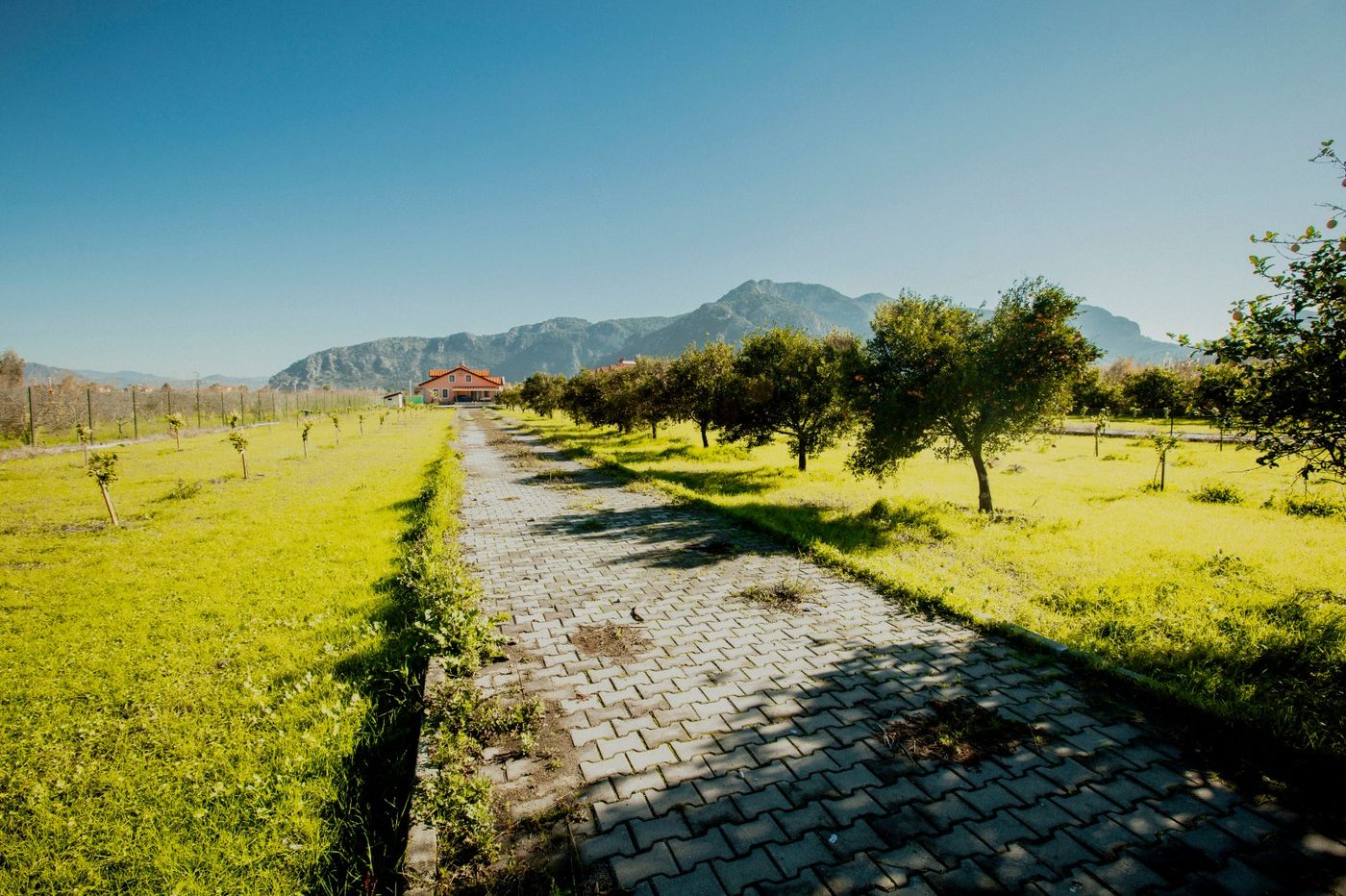 Villa Ozalp Apartments