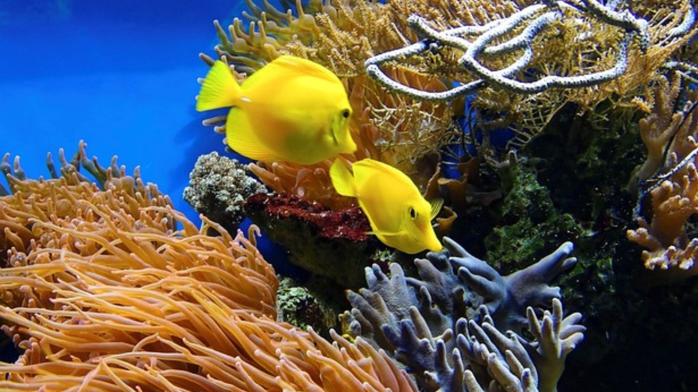 Holiday-Inn-Express-Cape-Town-City-Centre-General-view-59