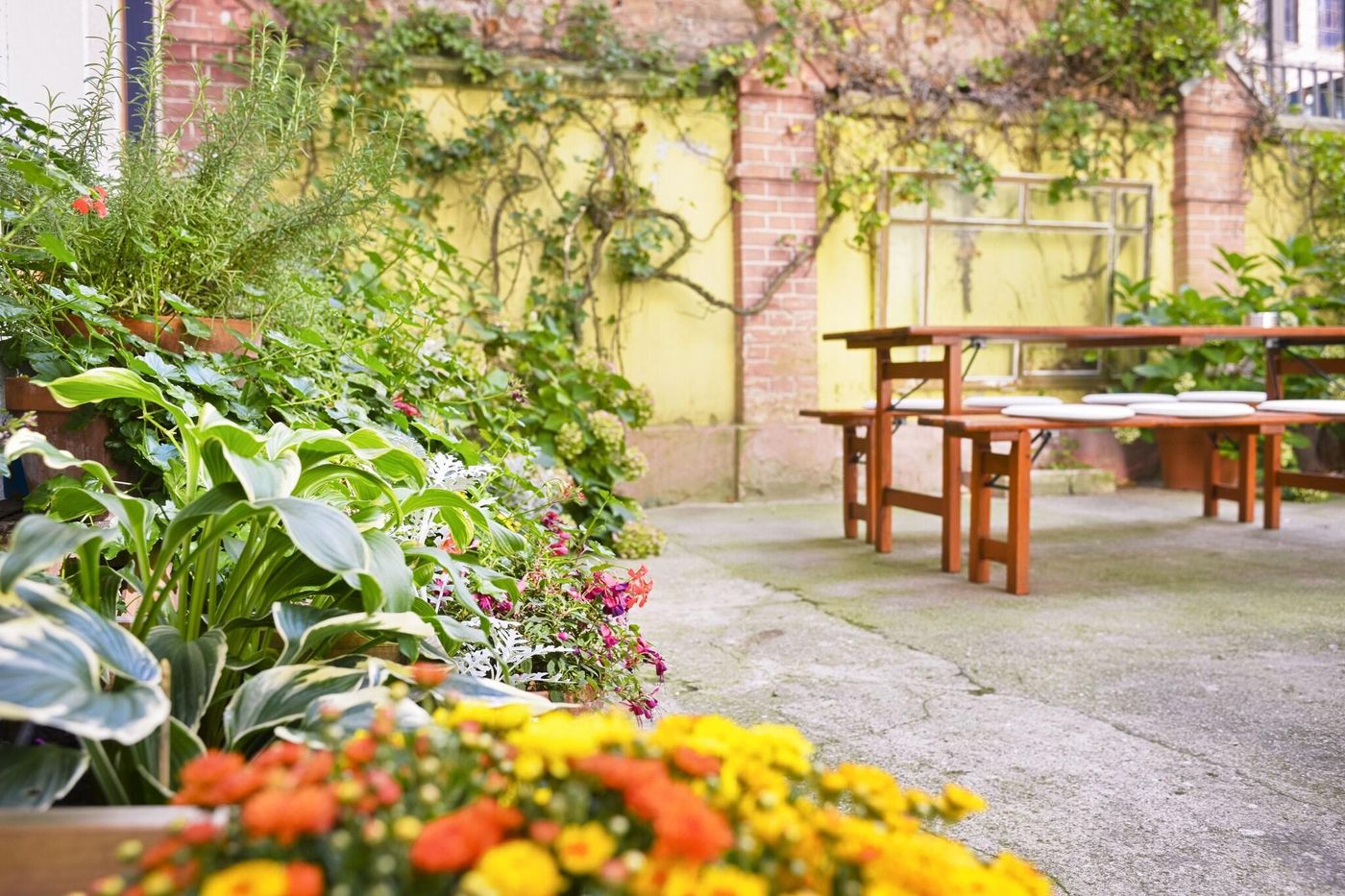 Old-Town-Hotel-Greifswalder-Strasse-Terrace-28