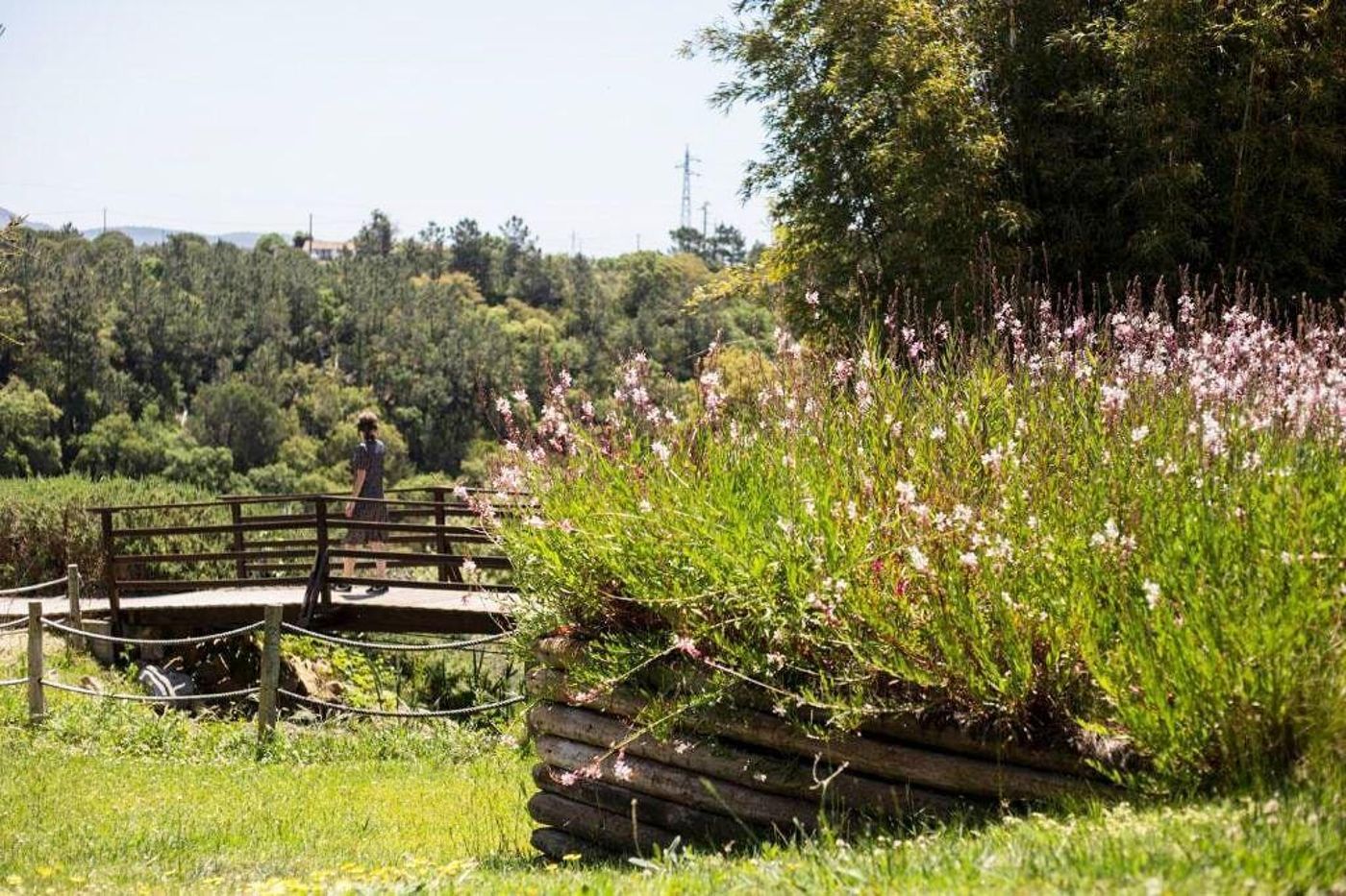 Herdade-Do-Freixial-General-view-43