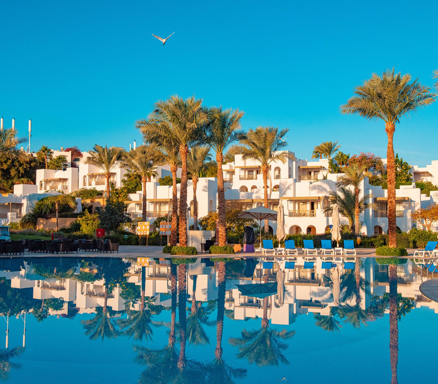 Novotel Sharm El Sheikh Palm