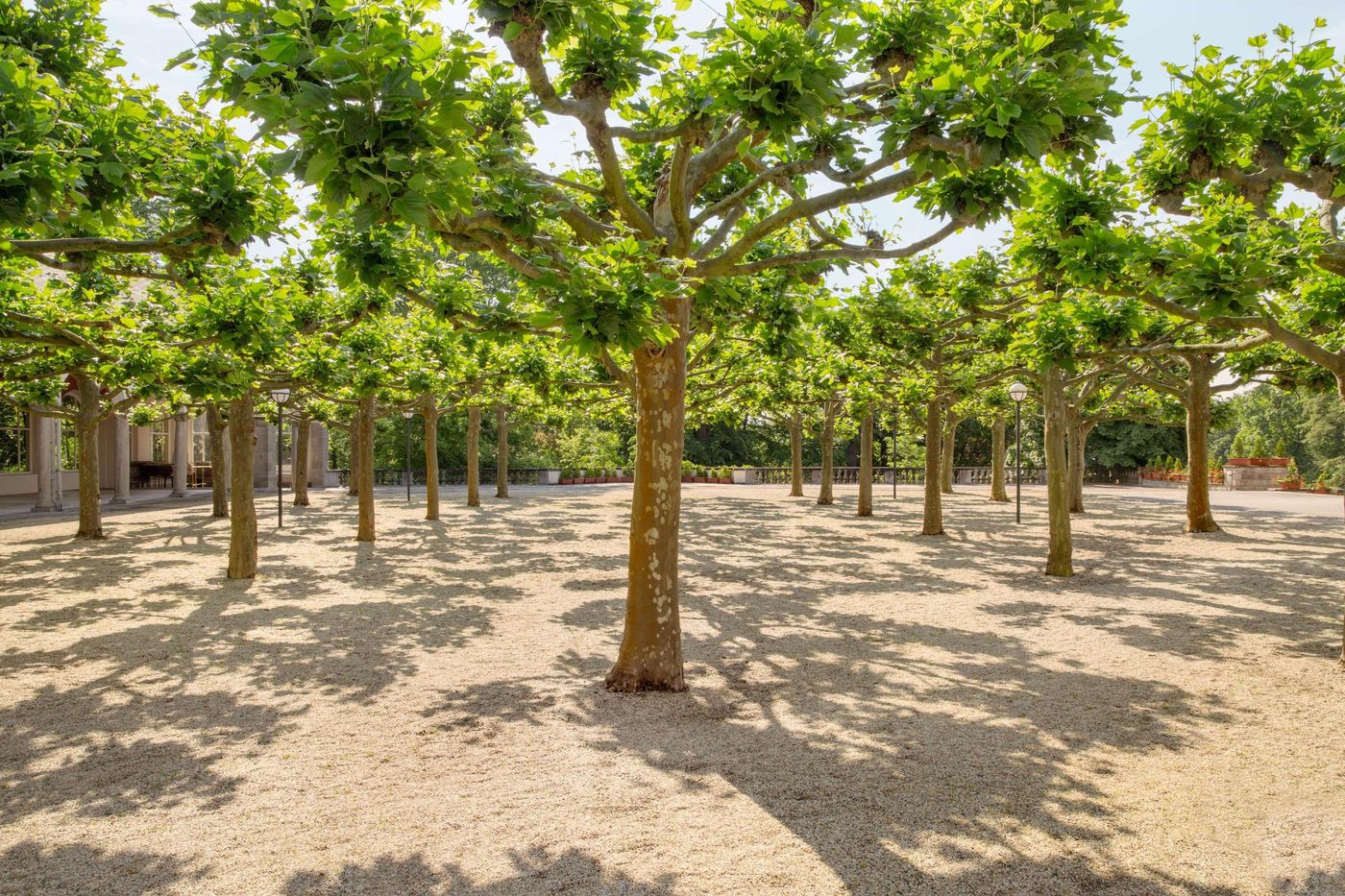 Dolce by Wyndham Bad Nauheim - Germany - Bad Nauheim - General view - 5