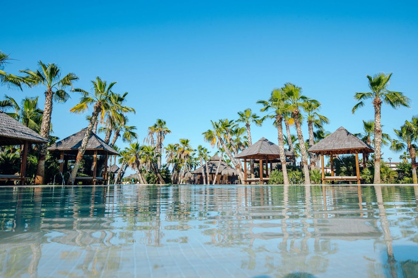 26.02.26 Alannia Costablanca