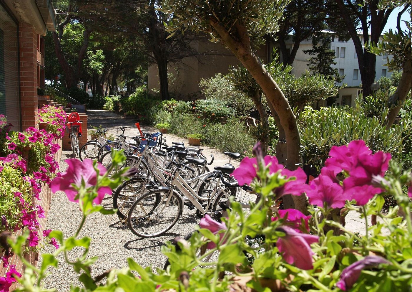 Ricci-Hotel-Sports-and-Entertainment-35