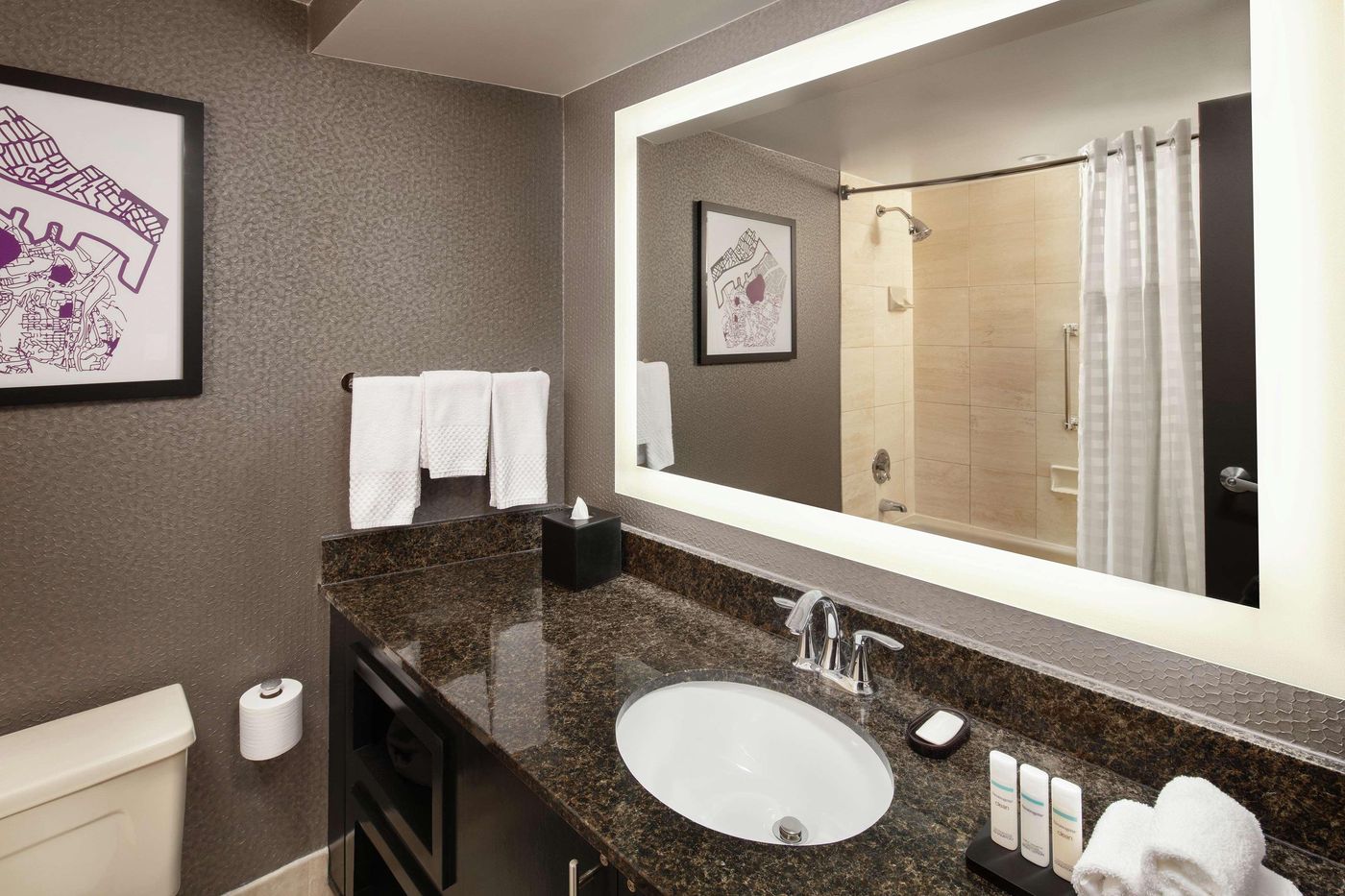 Embassy Suites by Hilton Crystal City National Air - United States - ARLINGTON - Room - 8