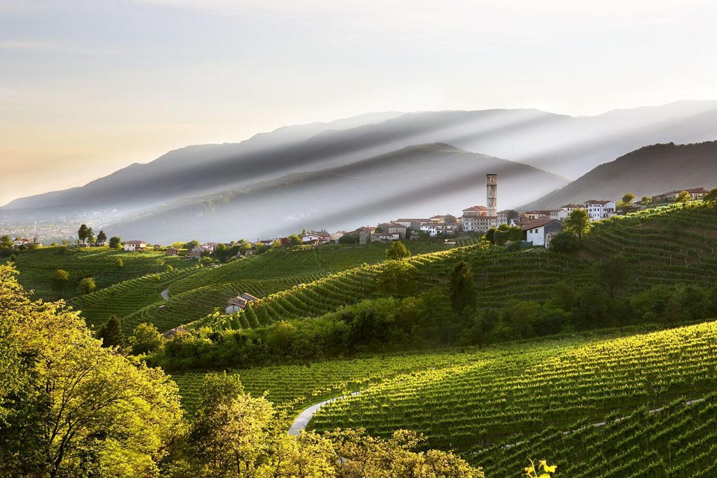 Best-Western-Hotel-Canon-d-Oro-General-view-7