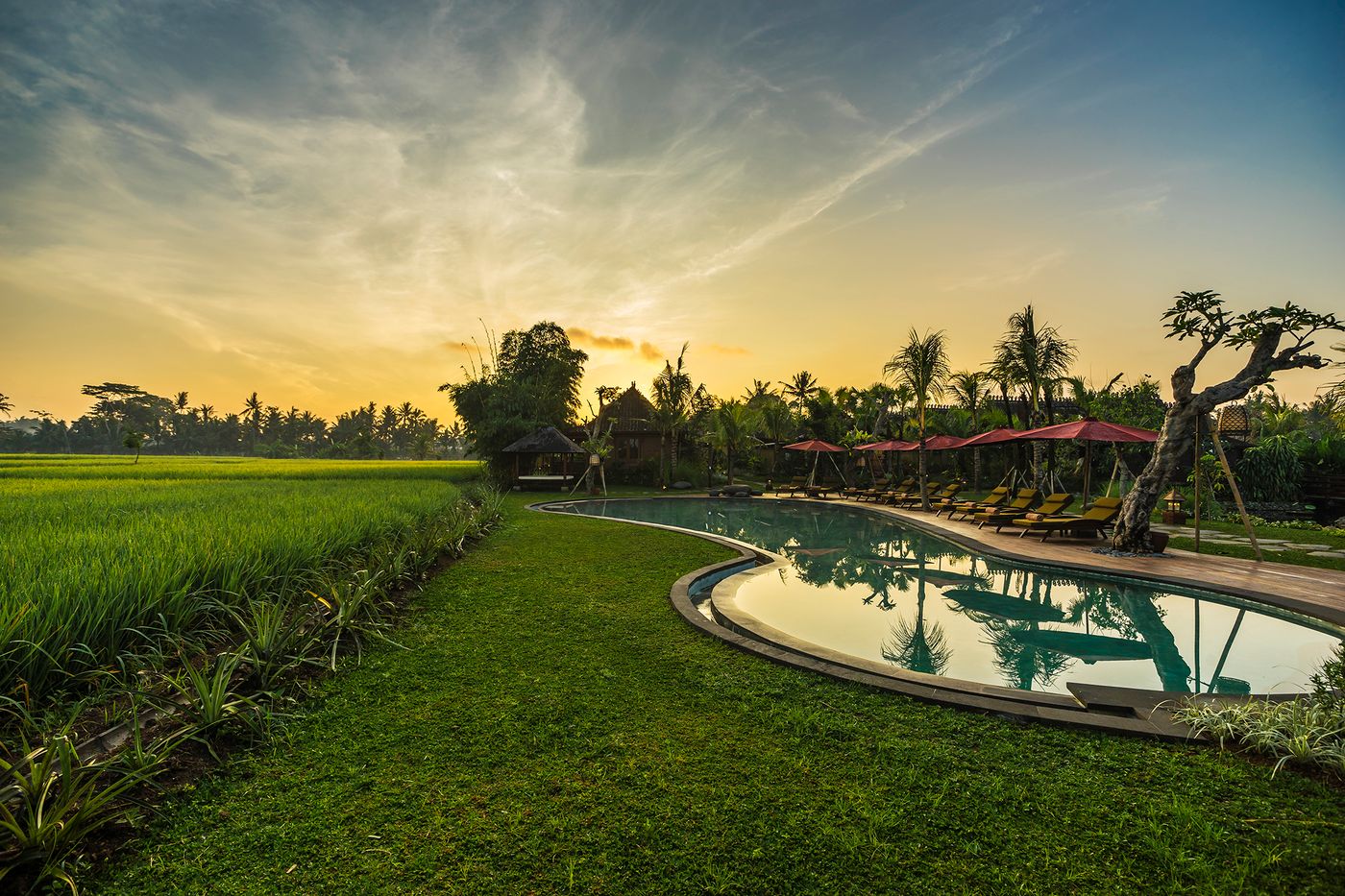 Arya Villas Ubud-Indonesia-UBUD-General view-9