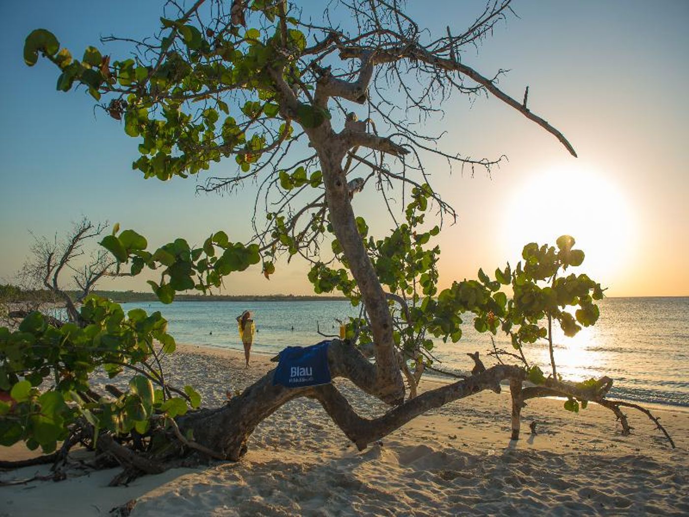 Fiesta Americana Costa Verde