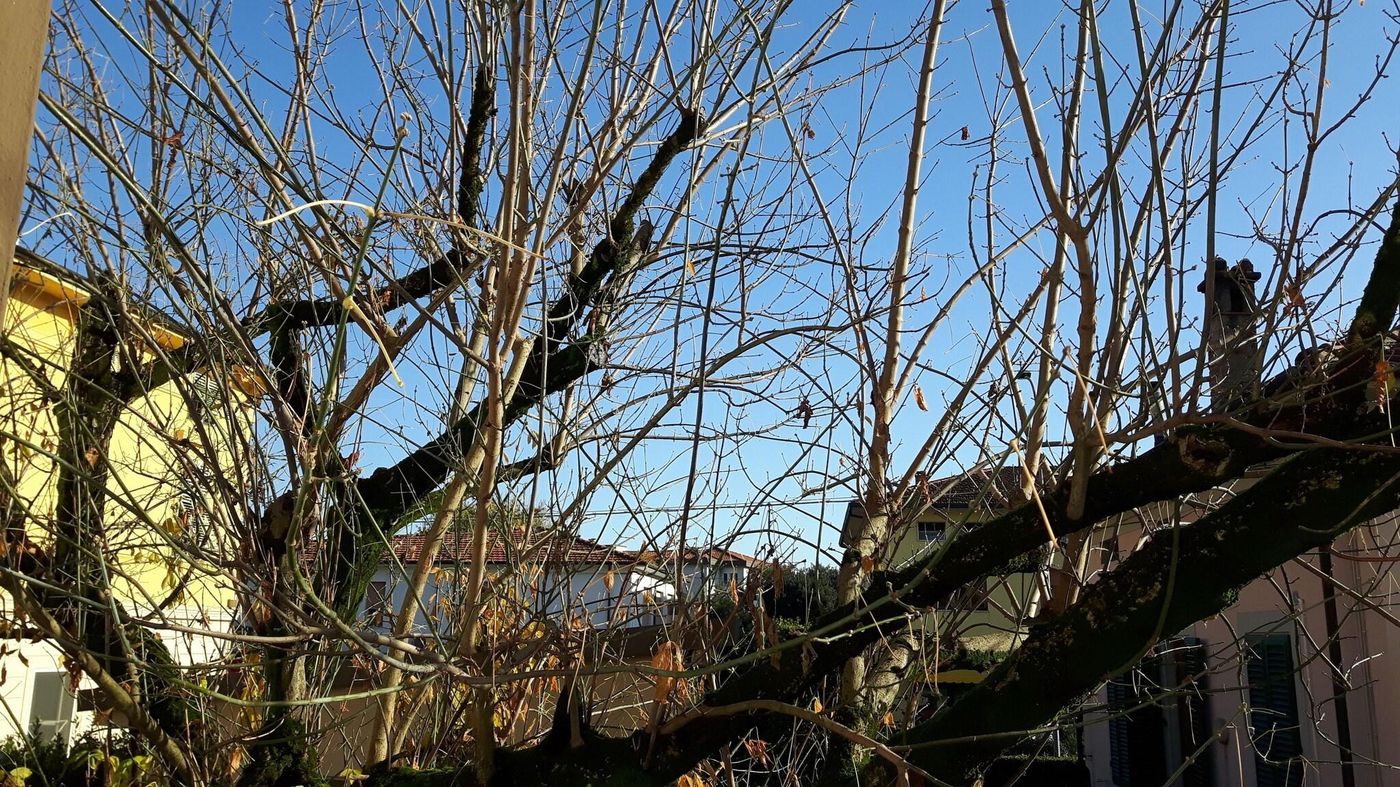 Albergo-Celide-Room-40