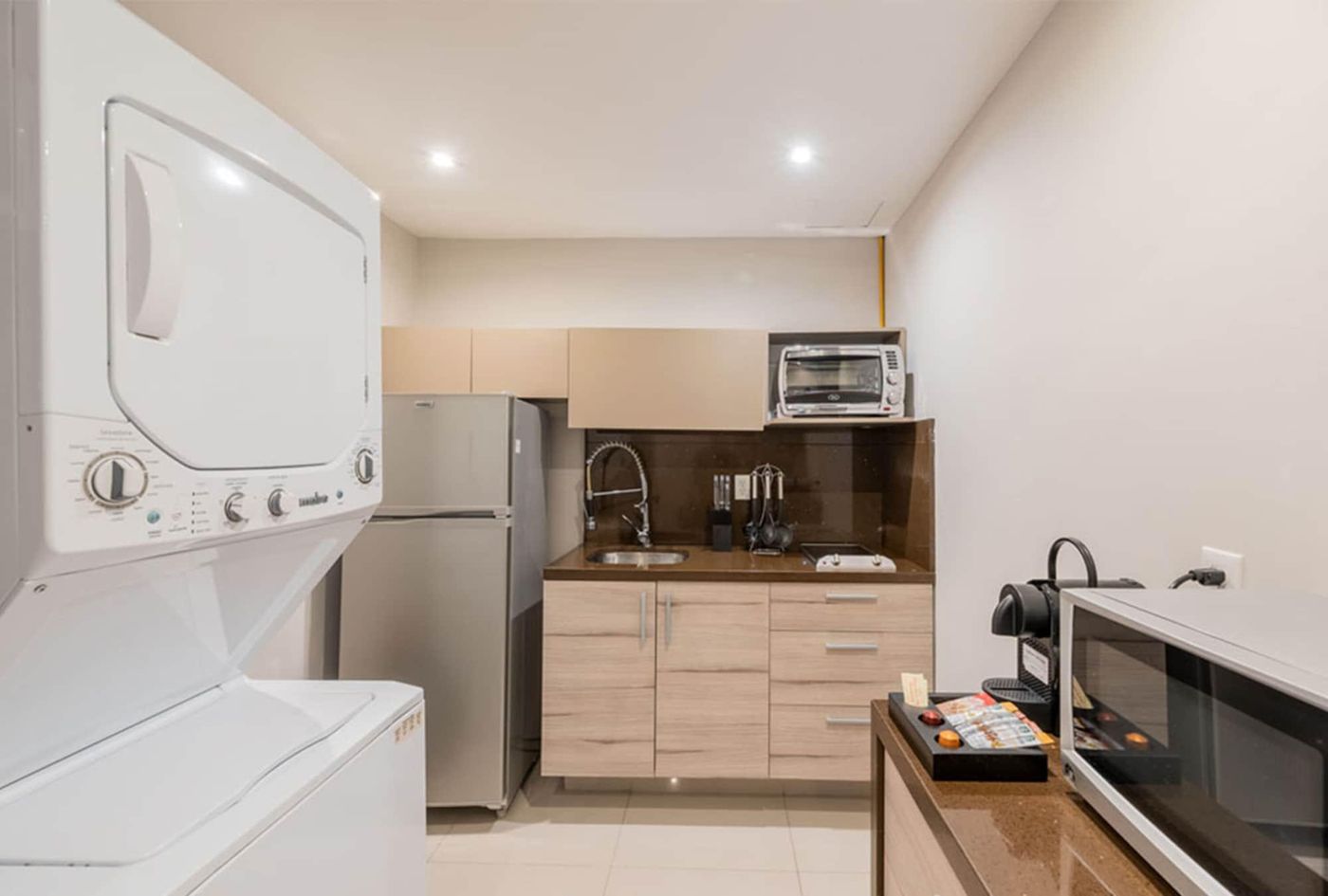 Lamartine 619 Residencial-Mexico-Mexico City-Room-9