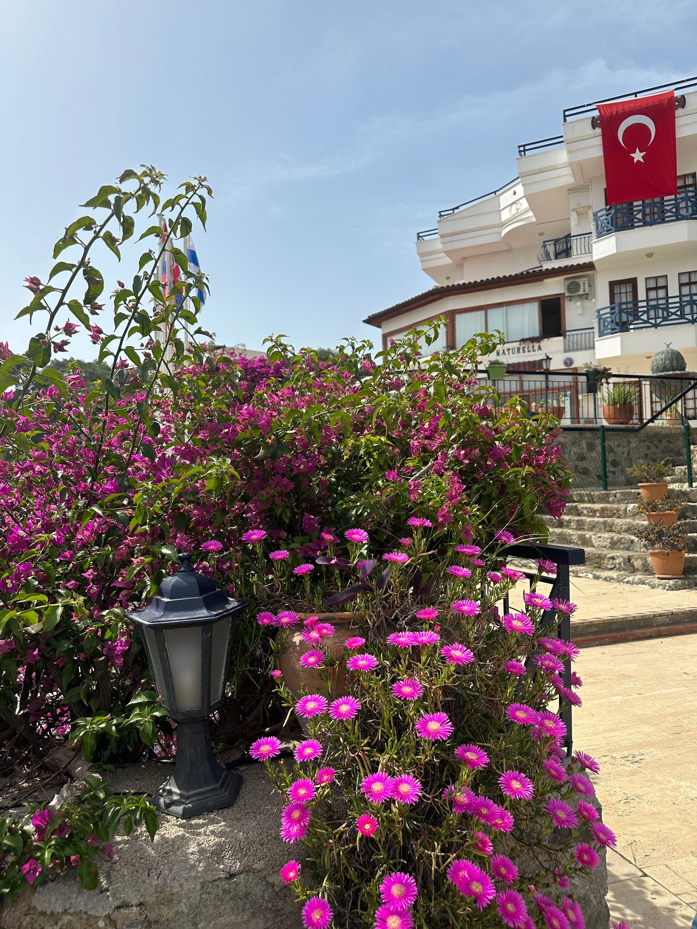 Naturella-Sports-and-Entertainment-19