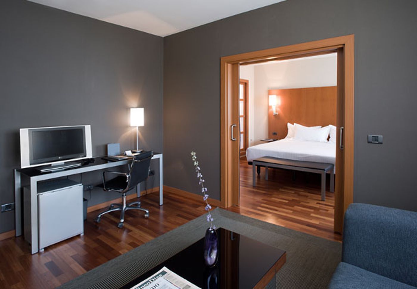 AC-Murcia-General-view-16