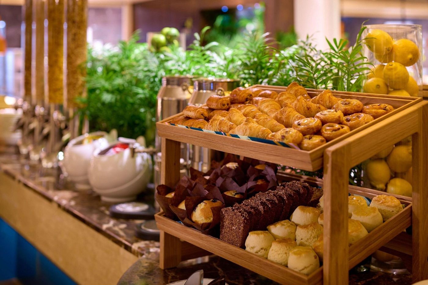 The-Shelbourne--Autograph-Collection-Restaurant-69