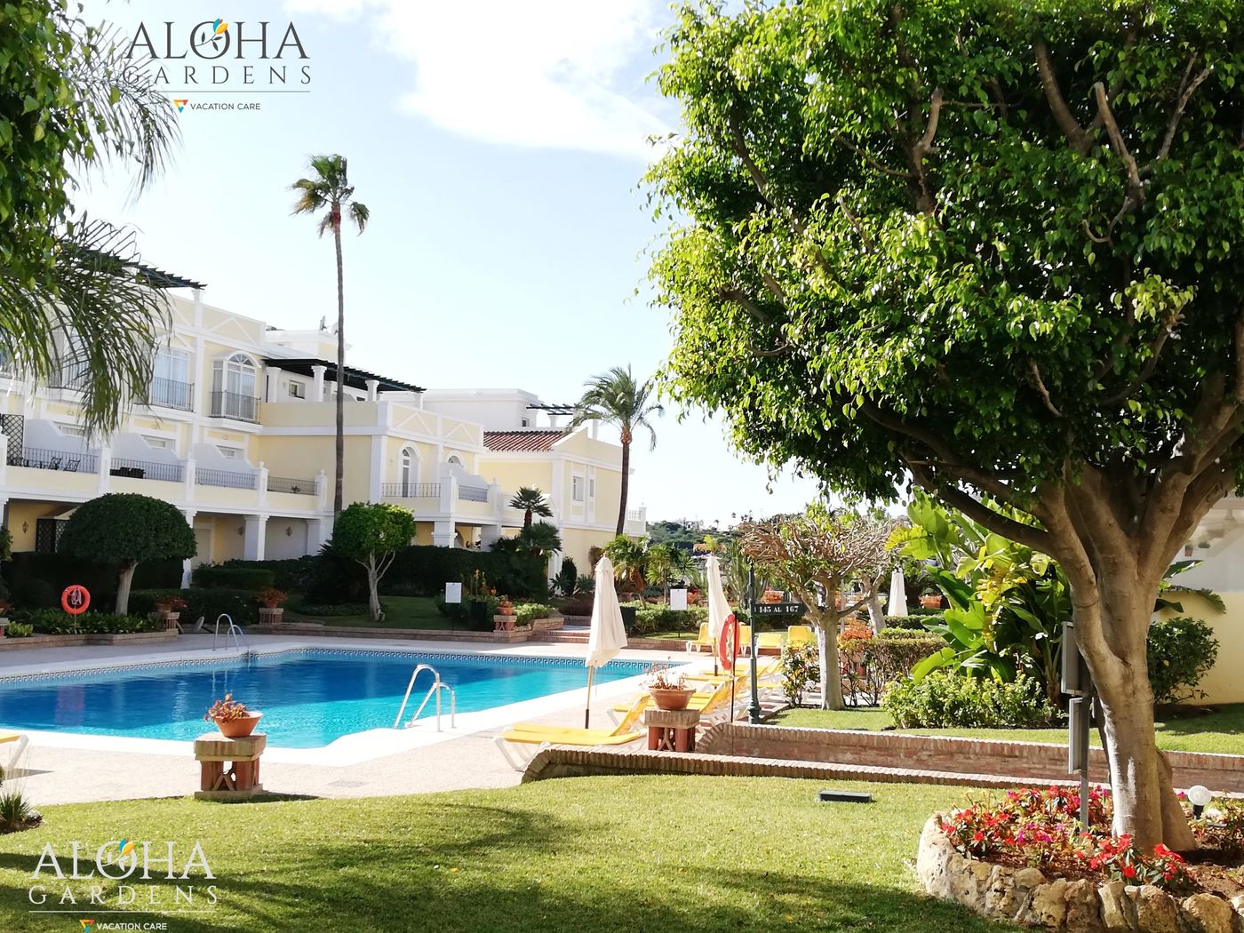 Aloha-Gardens-Pool-3