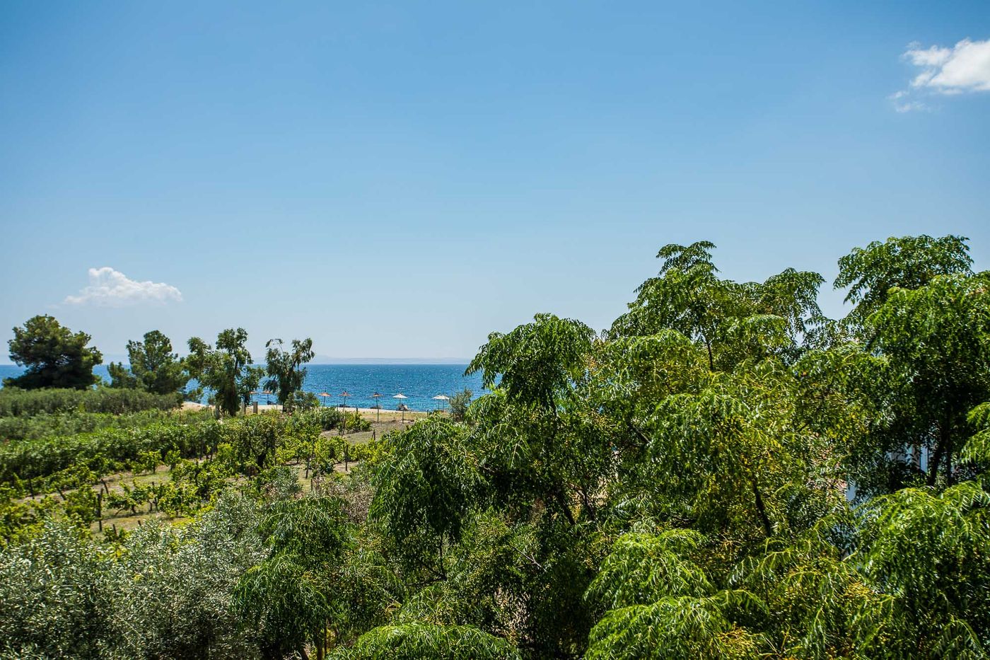 Coral-Blue-Beach-General-view-75