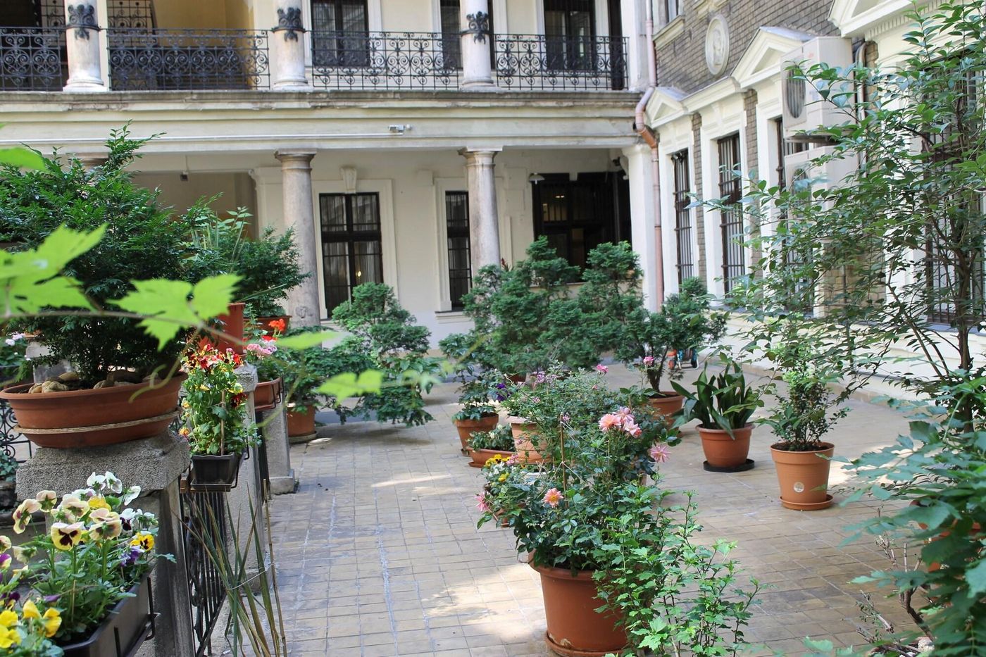 Omega-Guesthouse-Budapest-General-view-4