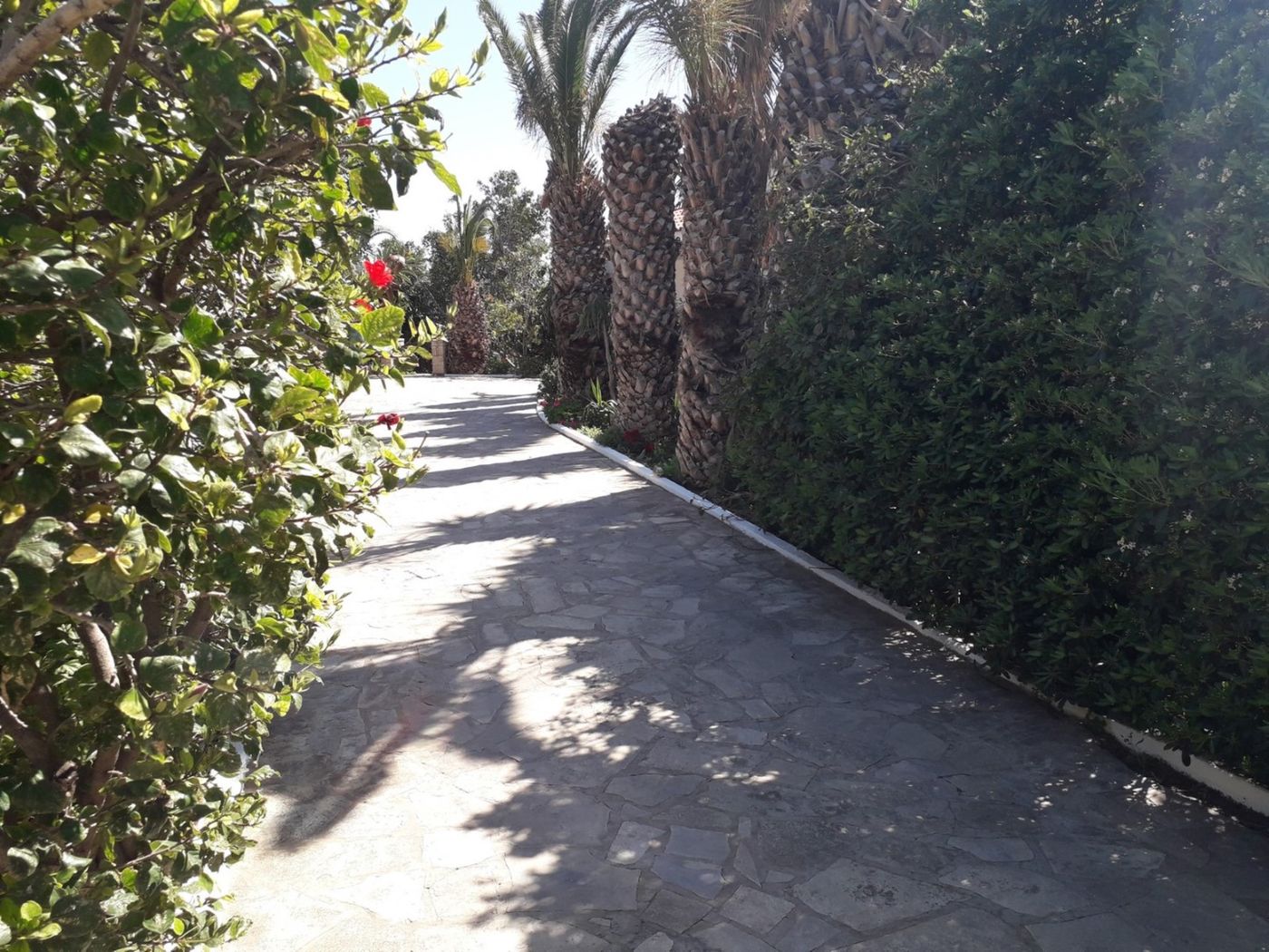 Sunlight Hotel Elounda Adults Only