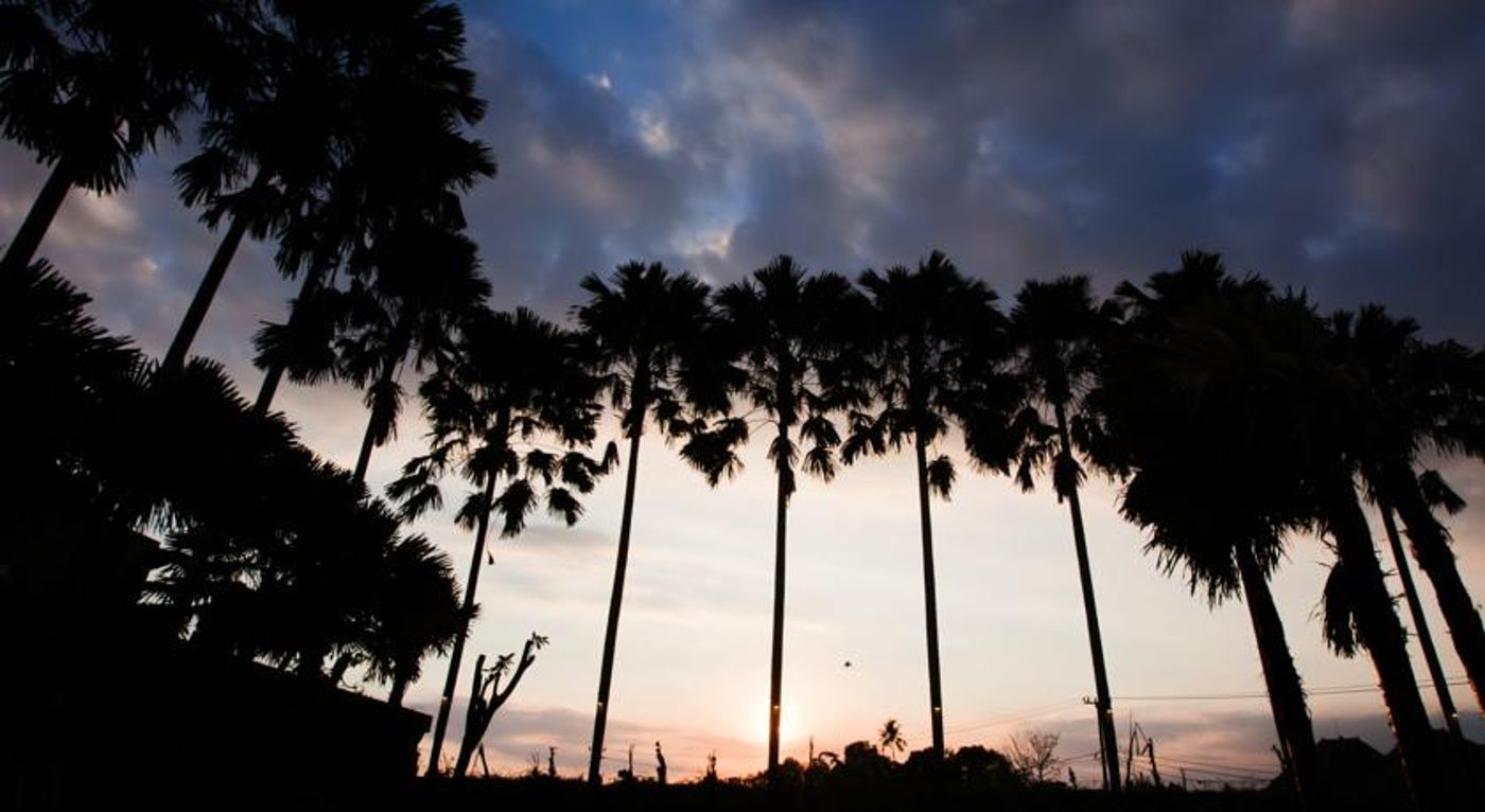 Danoya Villa - Private Luxury Residence-Indonesia-SEMINYAK - BALI-General view-4