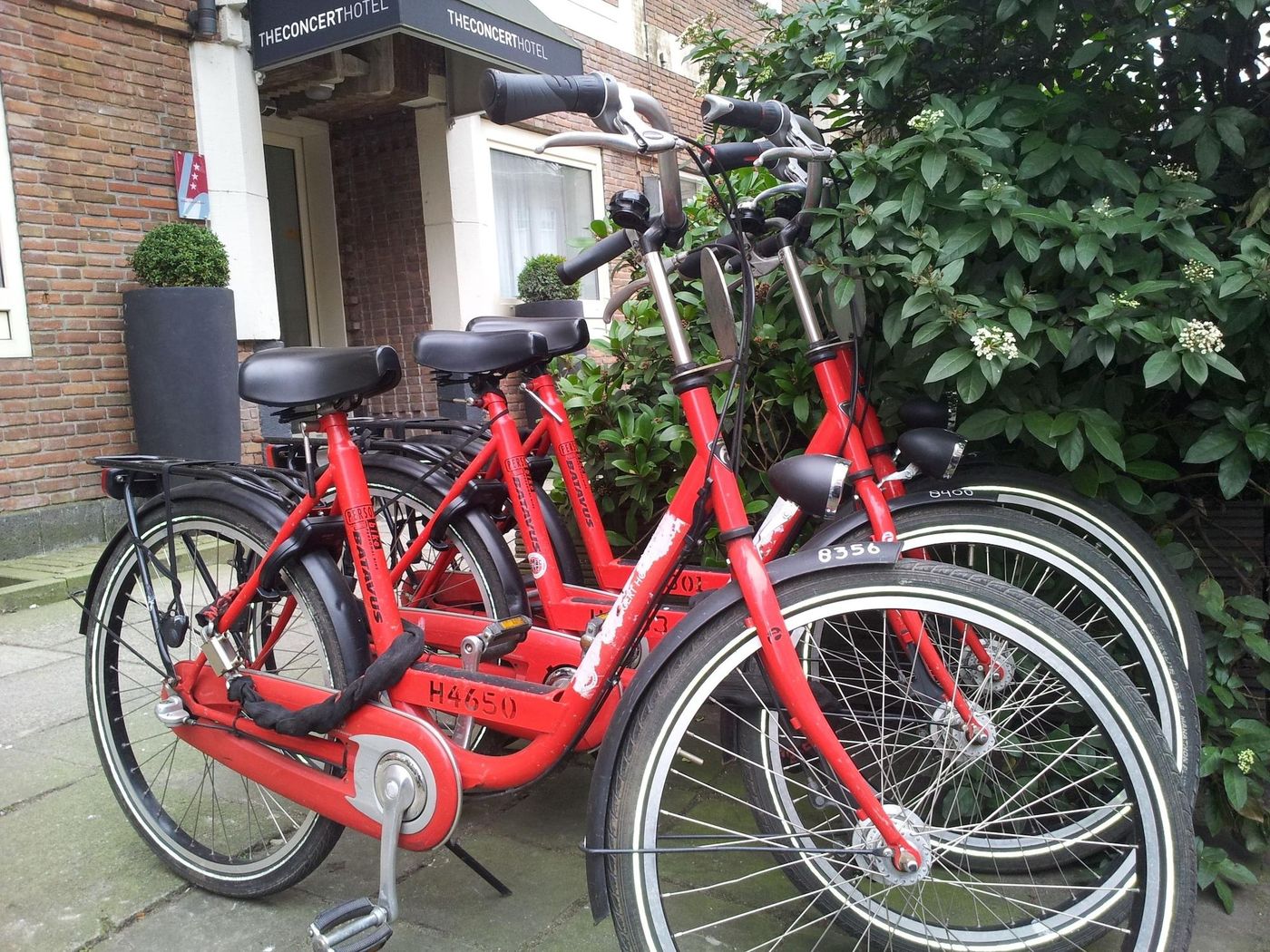 The Concert Hotel-Netherlands-Amsterdam-Sports and Entertainment-2