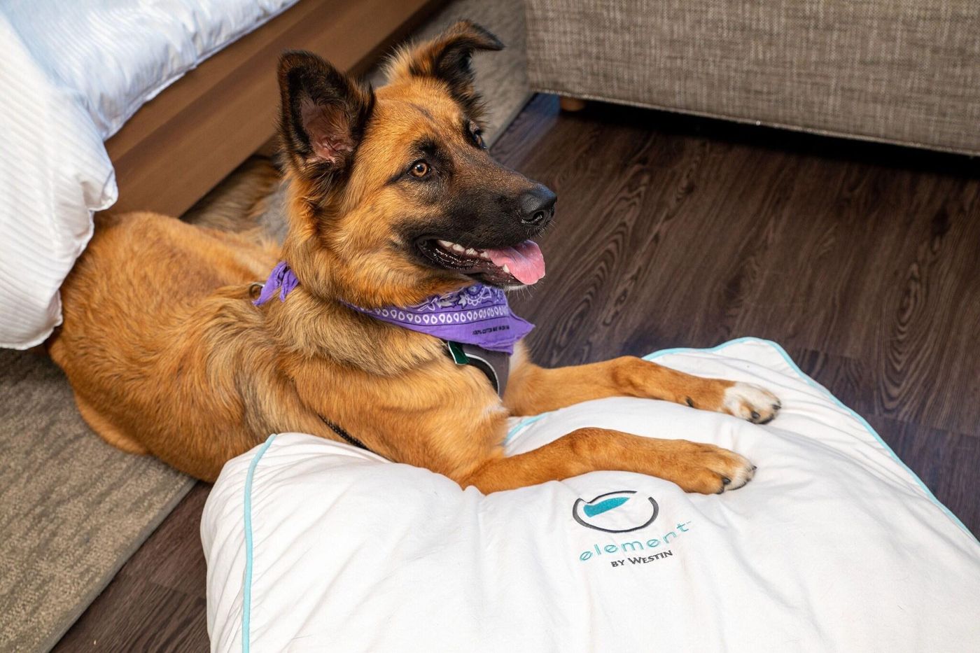 Element Austin Downtown-United States-Austin-General view-5