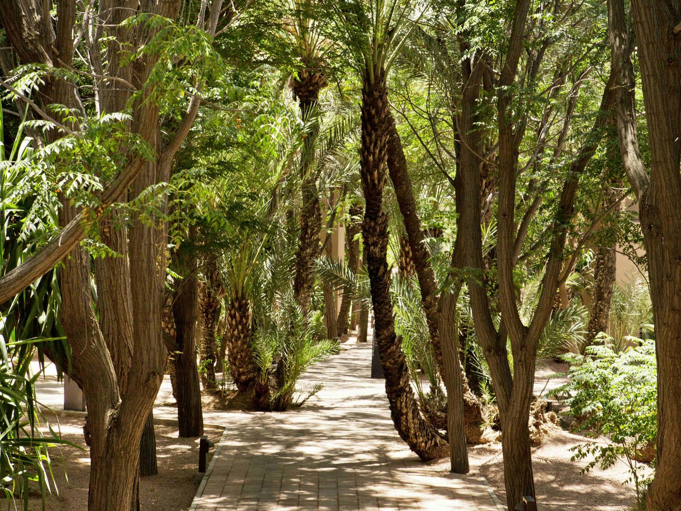 Barcelo-Palmeraie-General-view-13