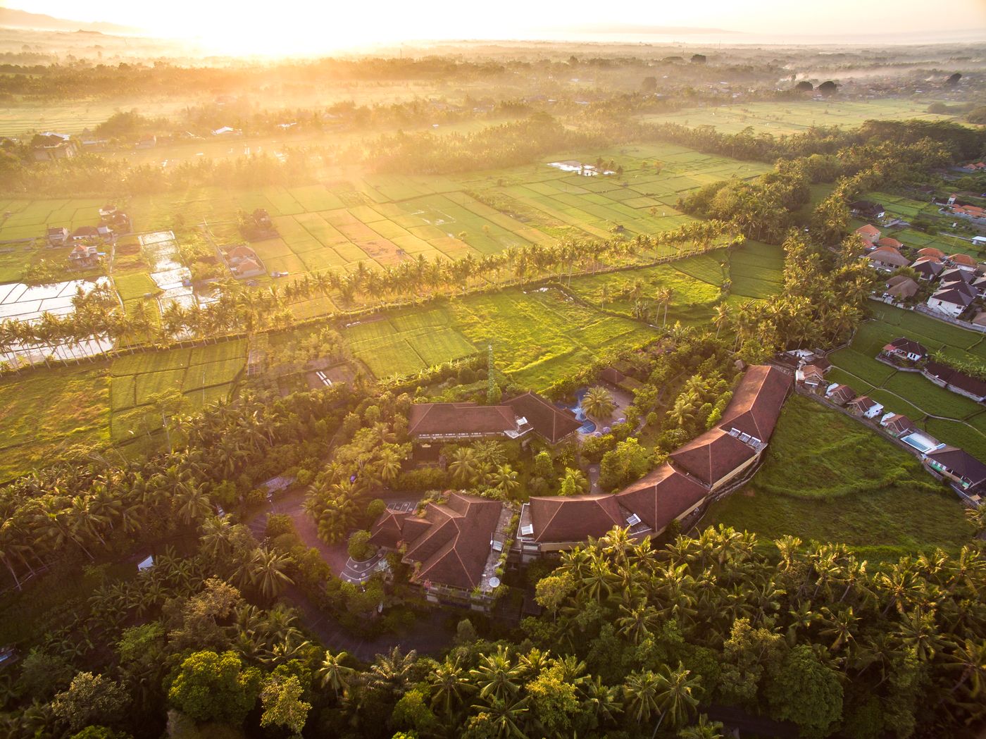 Bhuwana Ubud Hotel and Farming-Indonesia-UBUD-General view-6