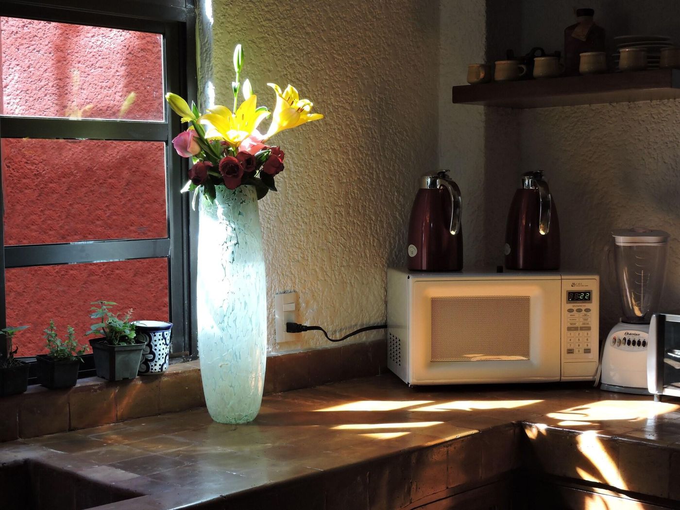 La Casita De Coyoaca N-Mexico-MEXICO CITY-General view-7