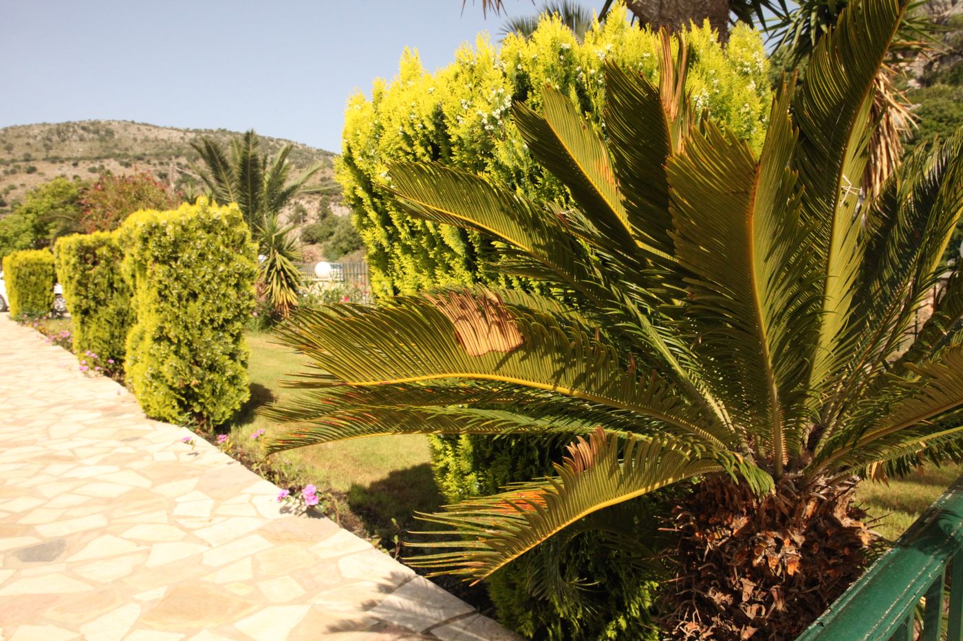 Agnantio-General-view-7