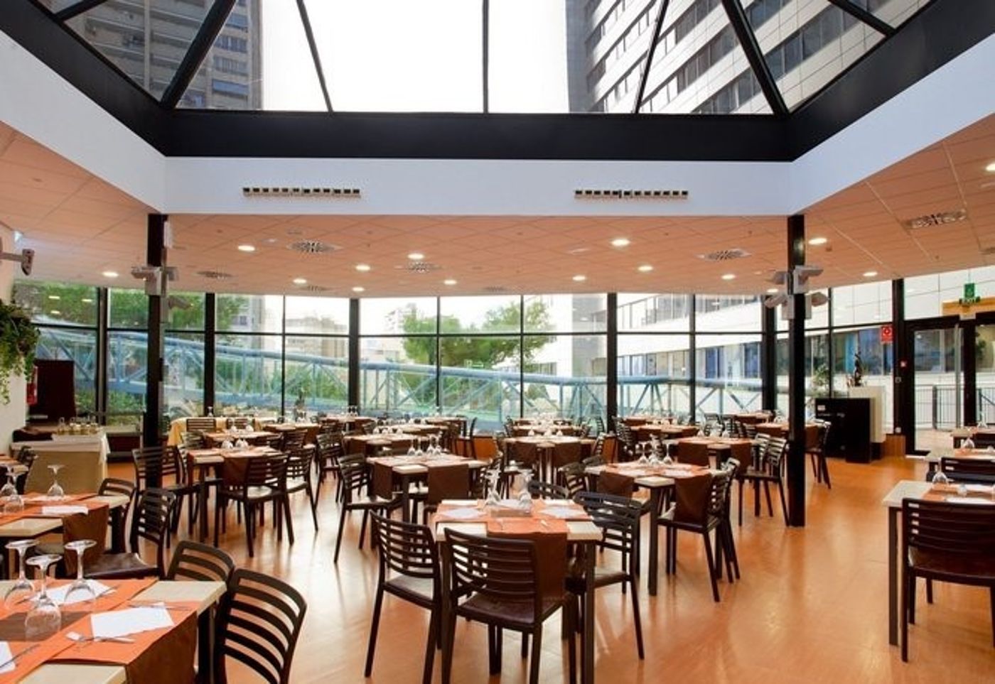 Magic Aqua Rock Gardens