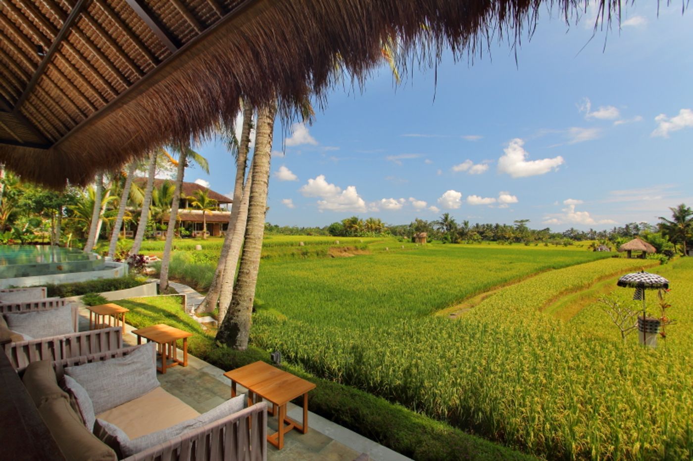 MATHIS Retreat Ubud-Indonesia-Bali-General view-6