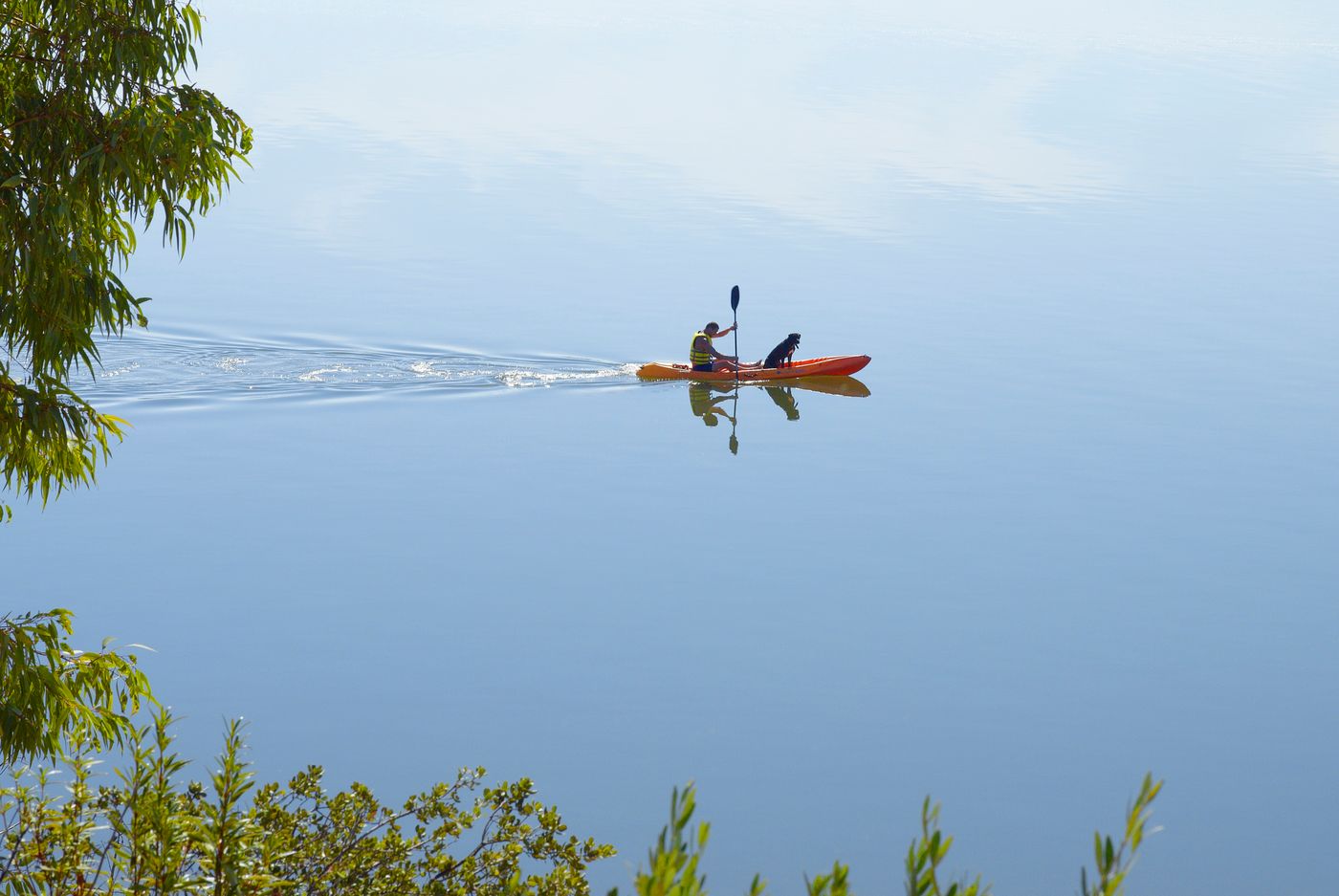 AP-Lago-Montargil-Conference---Spa-Sports-and-Entertainment-54