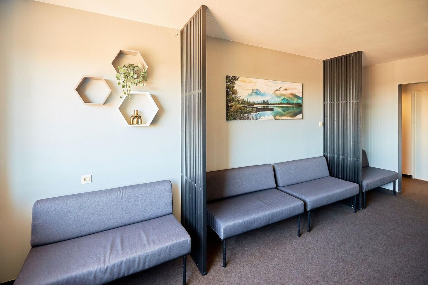 Dzingel-General-view-5