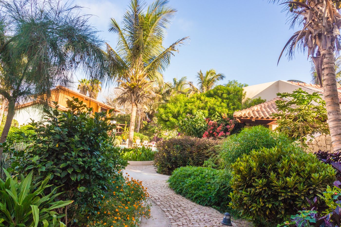 Gest Plain Apartments