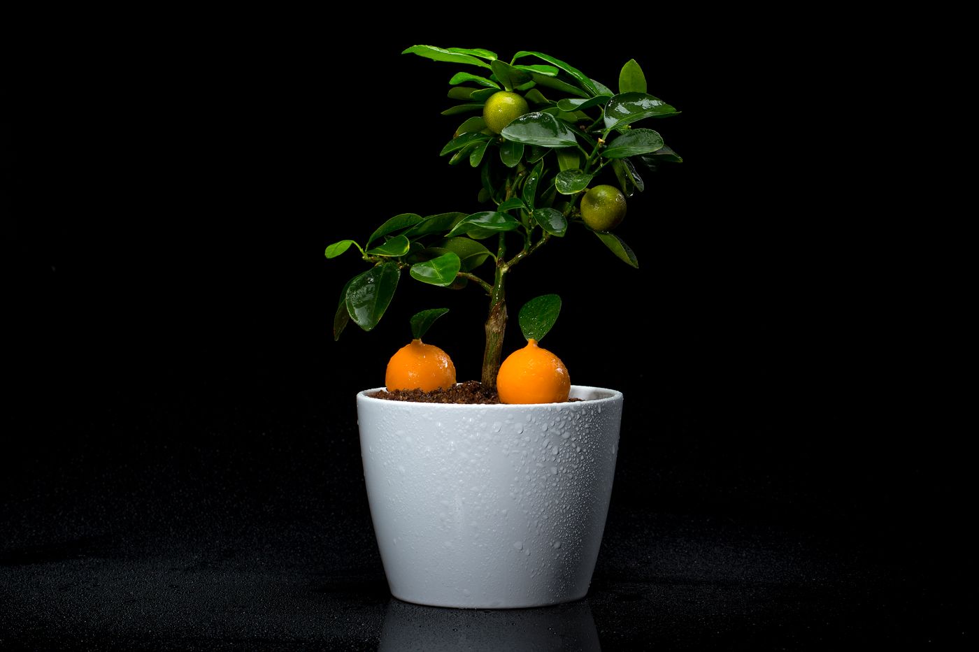 Bela-Vista---Adults-Only-Restaurant-42