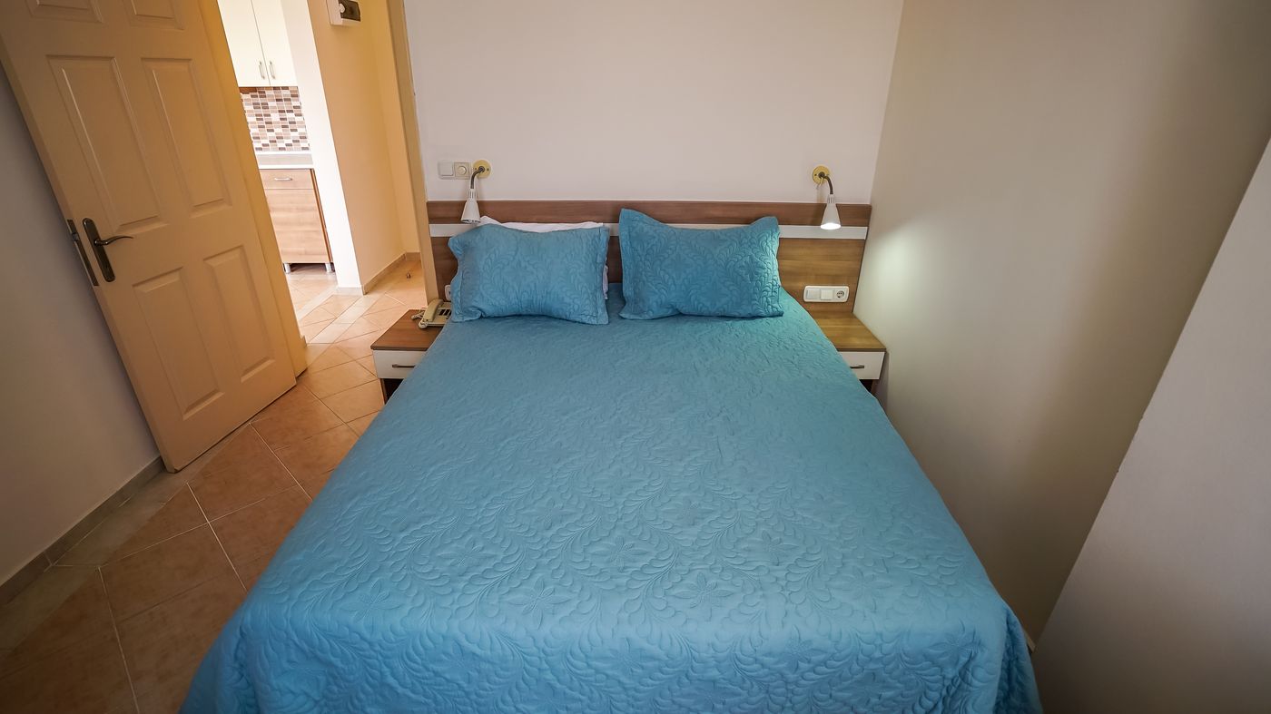 Catty Cats Garden Hotel