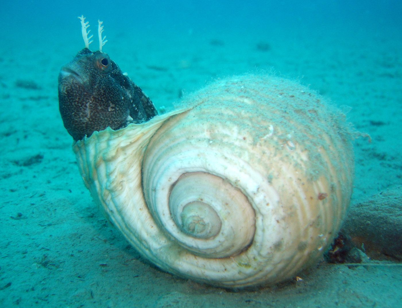 Villa-Andrea-Sports-and-Entertainment-68