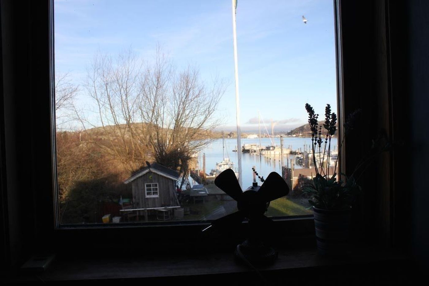 Brännö Varv Bed & Breakfast-Sweden-BRANNO-Room-9