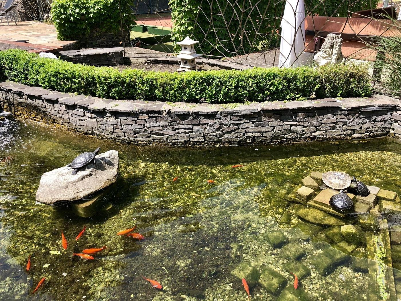 Hotel Therma-Slovakia-DUNAJSKA STREDA-General view-6