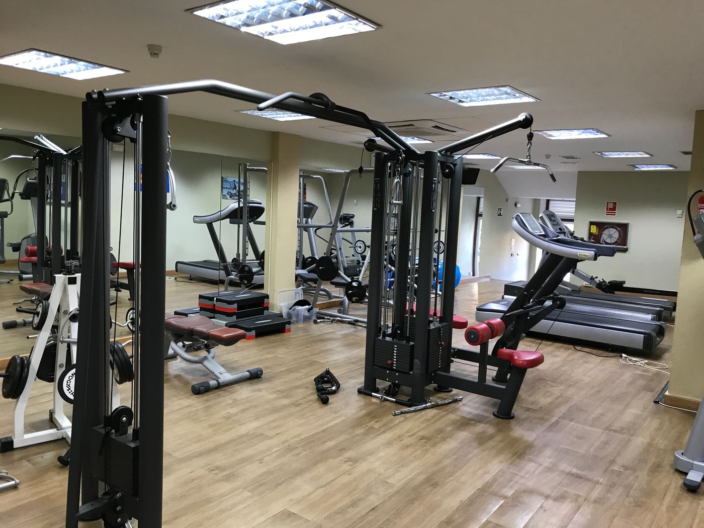 Macdonald-Dona-Lola-Sports-and-Entertainment-41