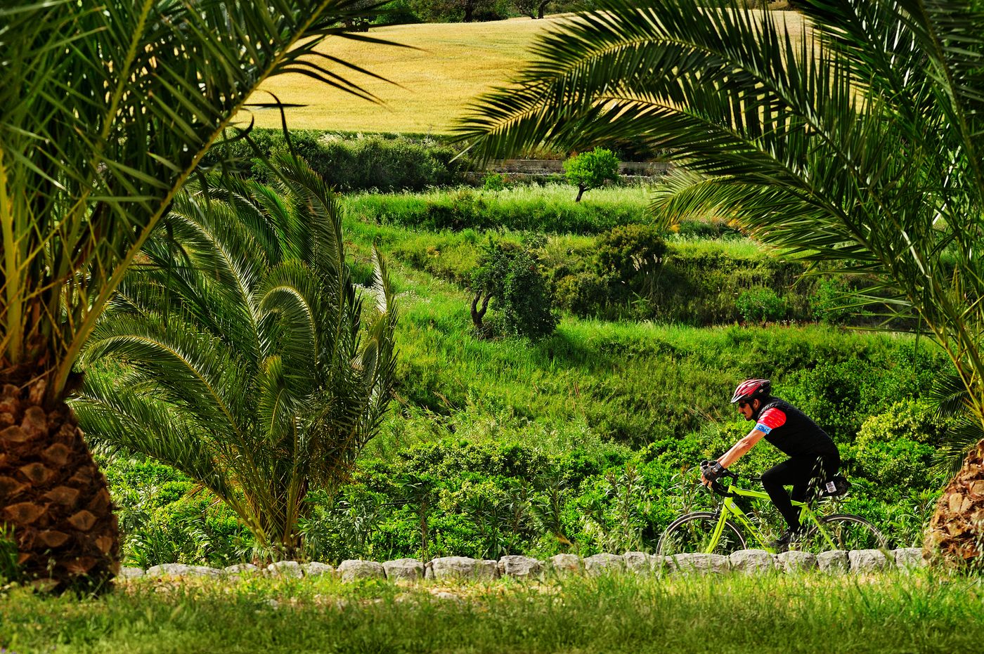 Kallikoros-Hotel-Spa-and-Resort-Restaurant-69