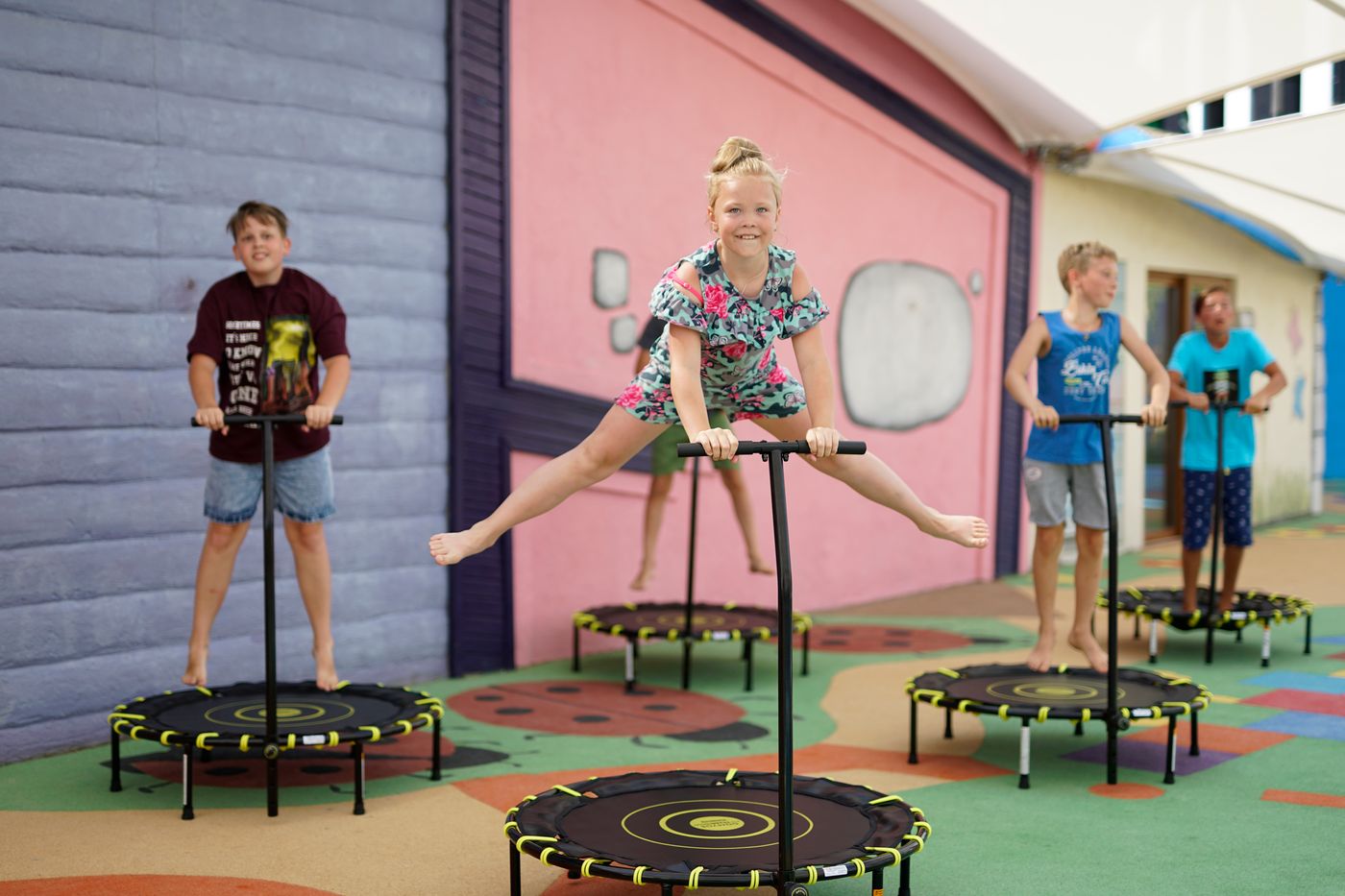 Papillon-Belvil-General-view-78