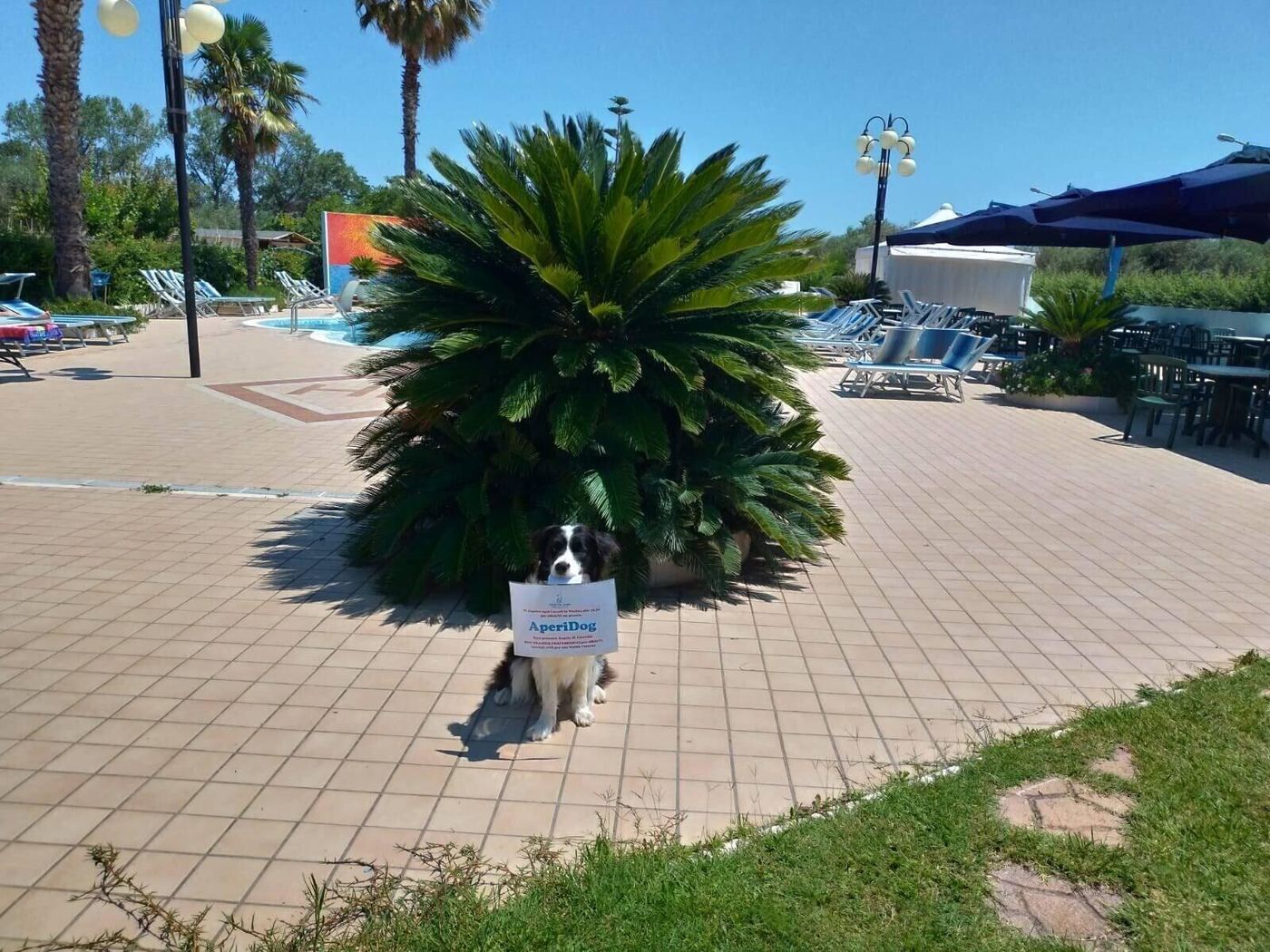 Hotel-Marina-Room-34