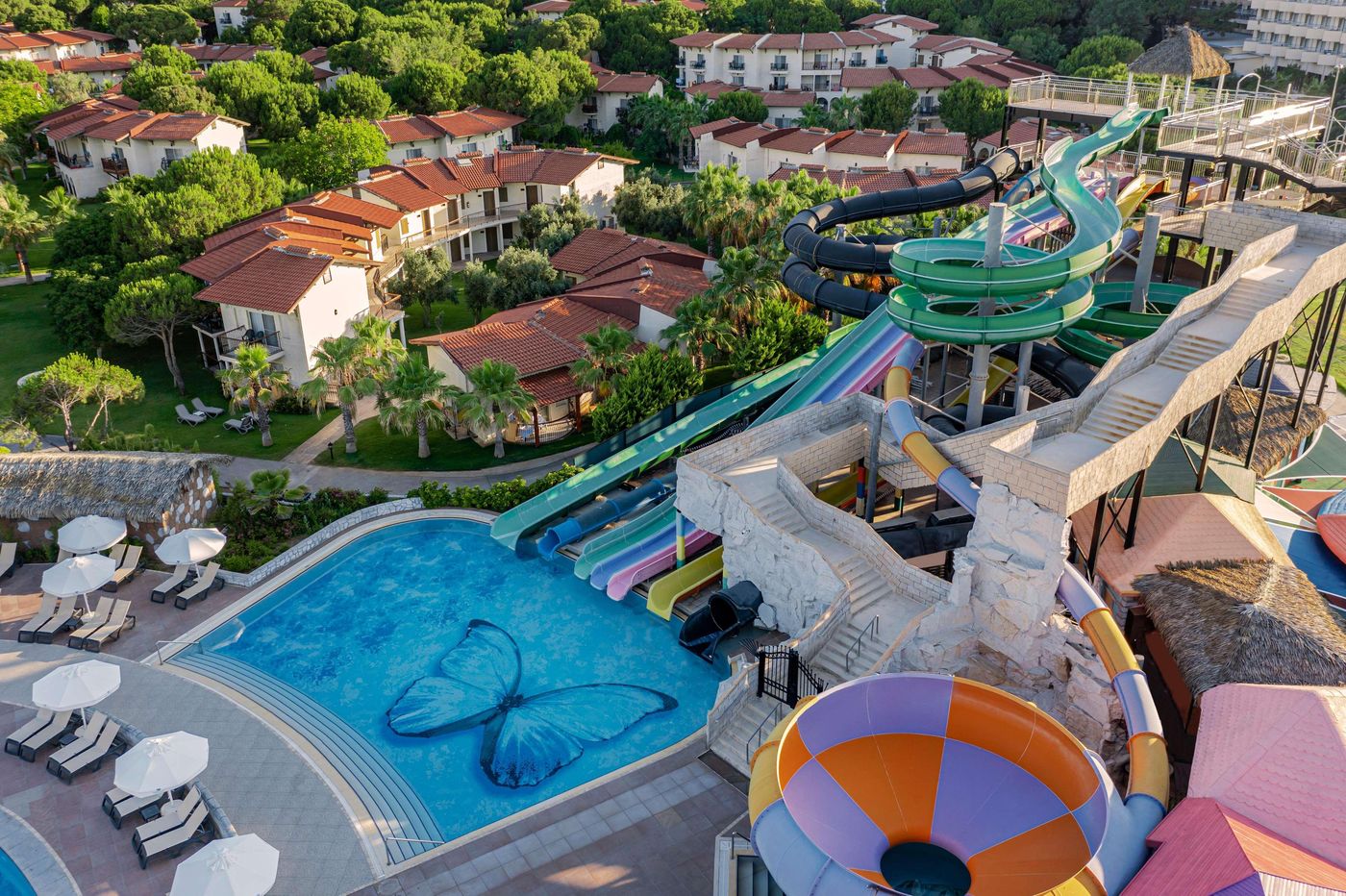 Papillon-Belvil-Pool-3