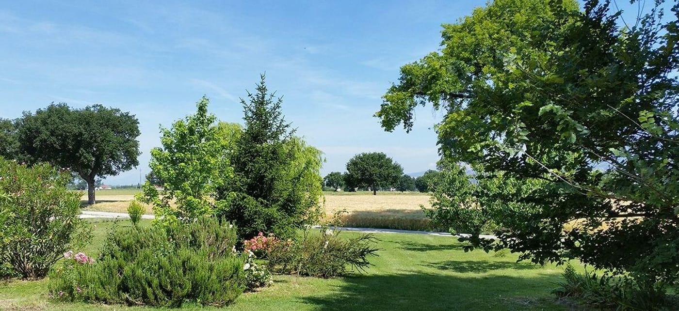 Bed And Breakfast Le Rose-Italy-SPELLO-General view-2