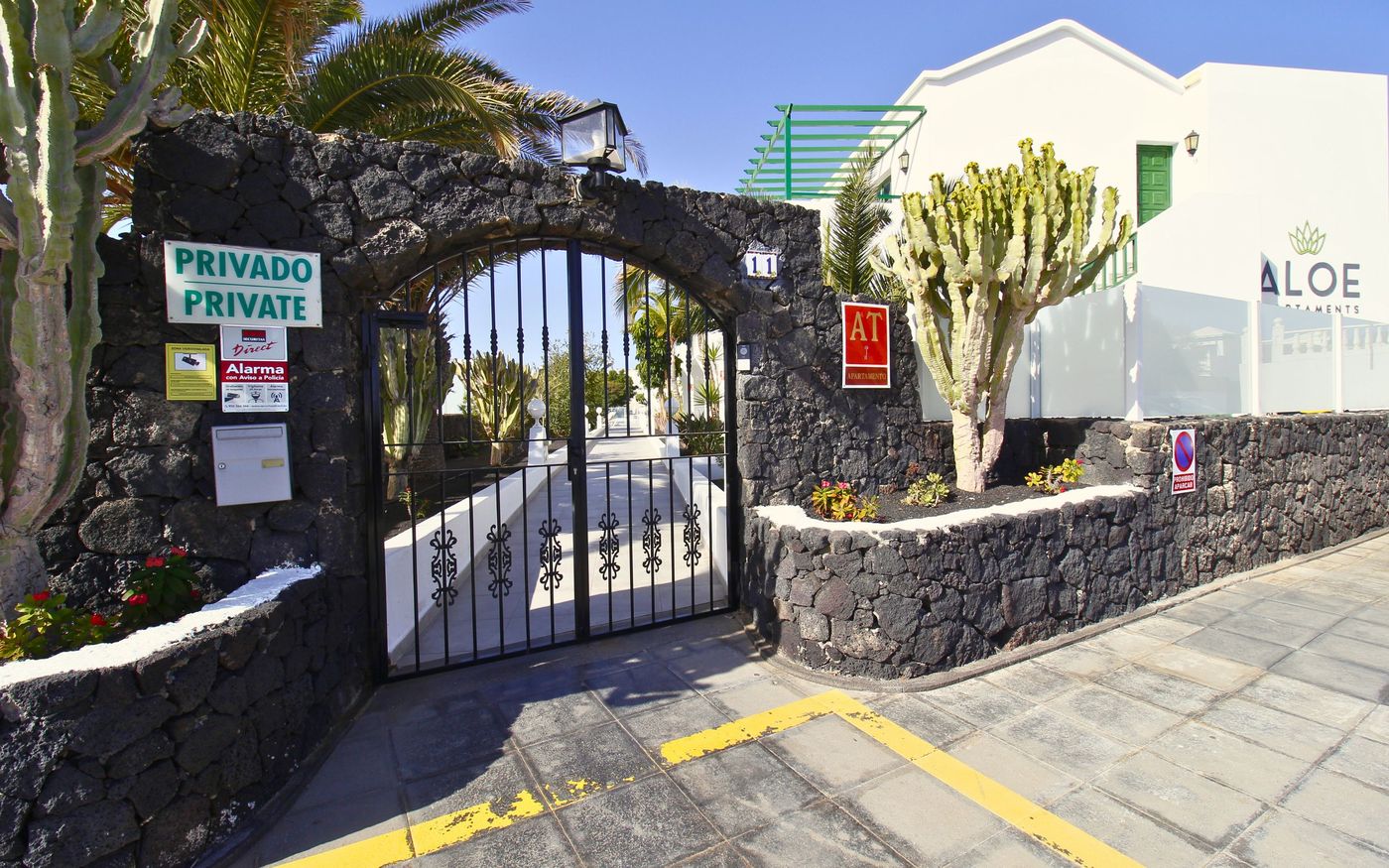 Aloe-General-view-19