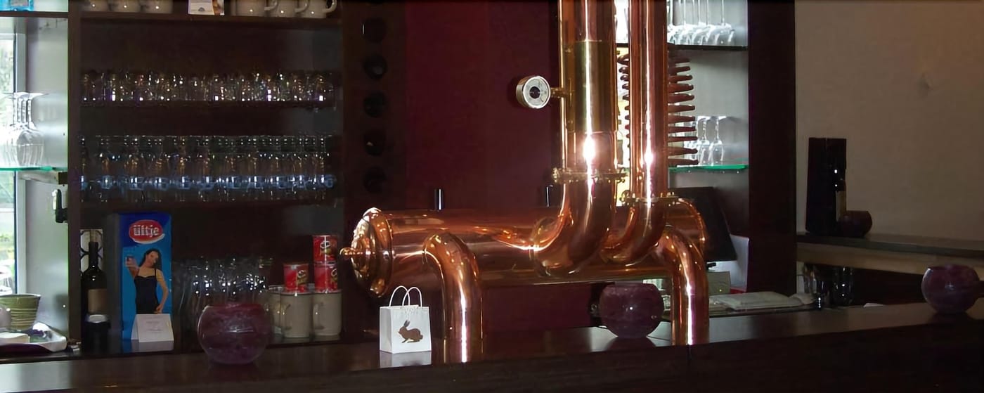 Hotel Gerber - Germany - HOESBACH - Bar - 4